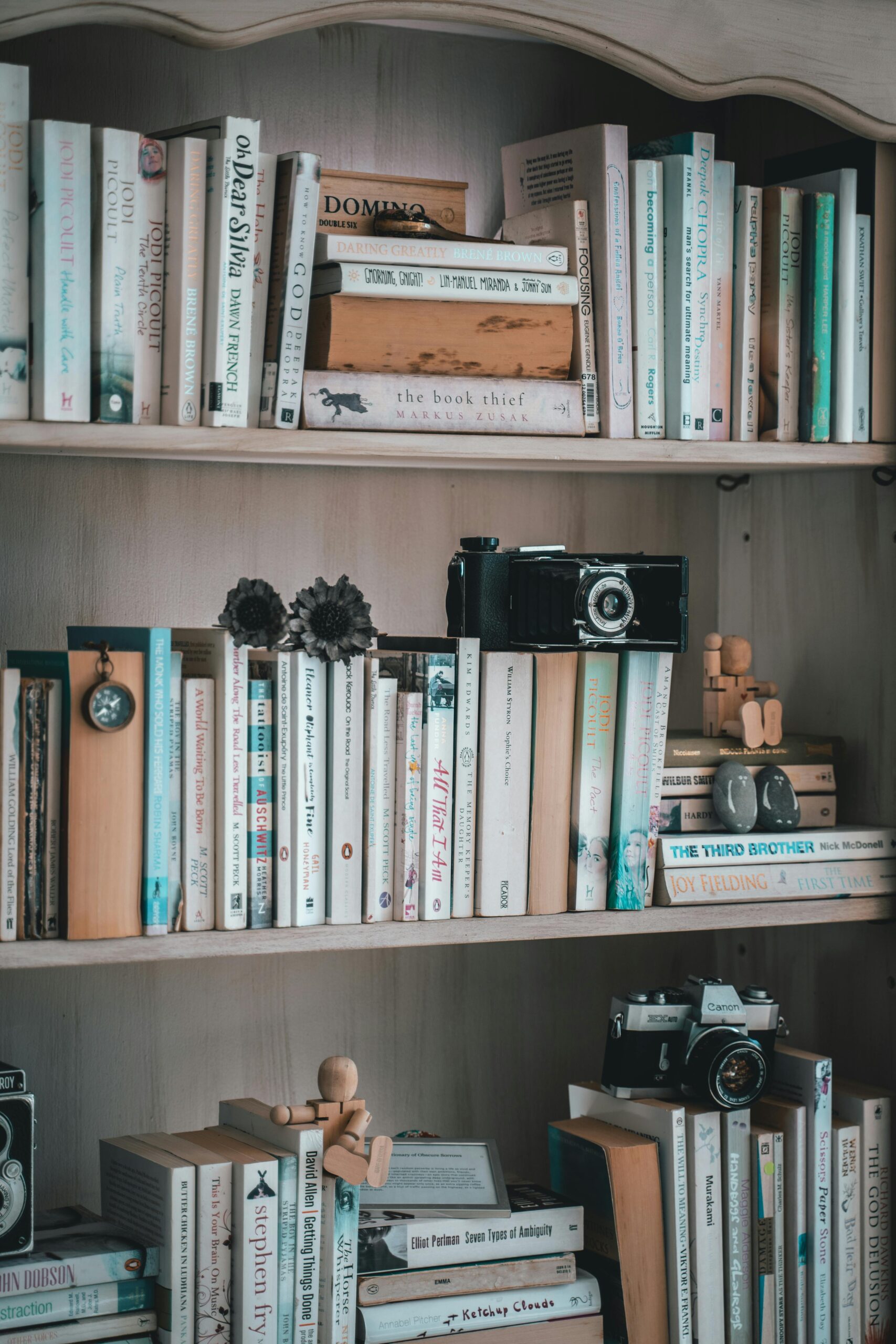 A cozy vintage bookshelf filled with books, cameras, and wooden figurines, showcasing an eclectic collection.